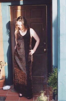 Leopard Print Dress